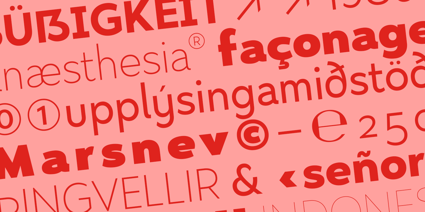 Przykład czcionki Nyata Thin Italic